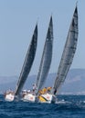 Sailing race regatta 017