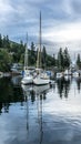 Sailing-Raining morning at Maderia Park