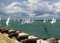 Sailing regatta