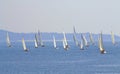 Sailing regatta Cor Caroli start