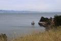 Nature in Angel island in san francisco bay Royalty Free Stock Photo