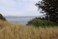 Nature in Angel island in san francisco bay Royalty Free Stock Photo