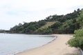 Nature in Angel island in san francisco bay Royalty Free Stock Photo