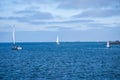 Sailing San Diego Harbor Royalty Free Stock Photo