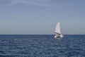 Sailing in the sea catamaran