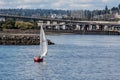Sailing in Seattle Royalty Free Stock Photo