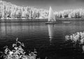 Sailing on Serene Lakes, infrared Royalty Free Stock Photo