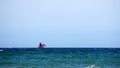 Sailing ship with red sails on the horizon of the ocean sea in windy weather.