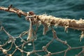 Sailing Ship Ropes