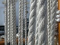 Sailing ship school Sagres. Vessel interior, mooring ropes on deck