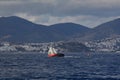 Sailing ship yachts with white sails in race the regatta in the open sea Royalty Free Stock Photo