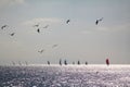 Sailing ship yachts with white sails in race the regatta in the open sea Royalty Free Stock Photo