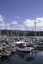 Sailing ships reflected in the water in Kettering harbor, Tasmania, Australia Royalty Free Stock Photo