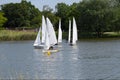 Sailing boats during regatta on a lake. Royalty Free Stock Photo