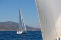 Sailing ships yachts with white sails in the open sea. Sport. Royalty Free Stock Photo