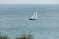 Sailing Sloop in the Caribbean VI