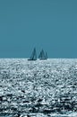 Sailing on Sparkling Seas