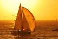Sailing at Sunset Royalty Free Stock Photo