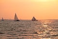 Sailing at sunset on the IJsselmeer in Netherlands