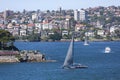 Sailing Boats in Sydney Harbour Royalty Free Stock Photo