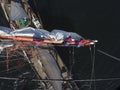 Sailing on tallship or sailboat, view from aloft Royalty Free Stock Photo