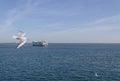 Sailing from Texel island ferry