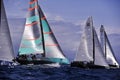 40ÃÂº Sailing Trophy Conde de Godo