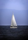 Lone Sailboat Cruising The Coast Royalty Free Stock Photo