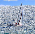 Sailing in windy conditions during the winter, even in South Florida, can prove to be a bit rough. Royalty Free Stock Photo