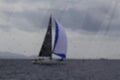 Sailing yacht catamaran sailing in rough sea. Sailboat. Sailing concept. Royalty Free Stock Photo