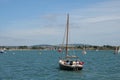 Sailing yacht motoring in Chichester Harbour