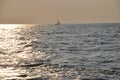 Sailing yacht in the open sea against the backdrop of the sunset sky Royalty Free Stock Photo