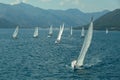 Sailing yacht race. Ships yachts with white sails in the open sea. Royalty Free Stock Photo