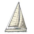 Sailing yacht. Sailboat. Vector drawn flat illustration for yacht club Royalty Free Stock Photo