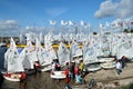 Sailing yachts on the coast