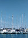 Sailing catamarans are lined up in the marina on a sunny day Royalty Free Stock Photo