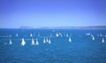 Sailing yachts race