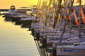 Sailing yachts at the sea station