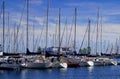 Sailing yachts with tall masts in a marine against the blue sky with white clouds Royalty Free Stock Photo