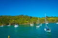 Sailing yachts in Waiheke Island, New Zealand. with a beautiful blue sky and magenta water in a sunny day