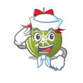 Sailor christmas ball green with the character