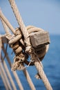 Sailor knot close-up