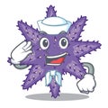 Sailor purple starfish isolated with the mascot