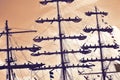 Sailors at the mast of a tall ship regatta. Royalty Free Stock Photo