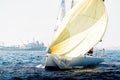 Sailors navigating a sailboat in a regatta with a spinnaker harnessing the wind Royalty Free Stock Photo