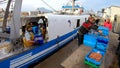 Sailors of trawler fishing boats downloading box fish in the port of Villajoyosa, Spain.