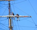 Sailors working on Sails - Tall Ships Parade On Lake Michigan in Kenosha, Wisconsin