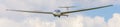 Sailplane in the air