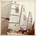 Sails of several catamarans