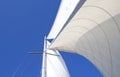 Sails In Wind